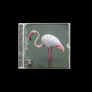 YNGFirefly & SDP - PADAVINE (CD)